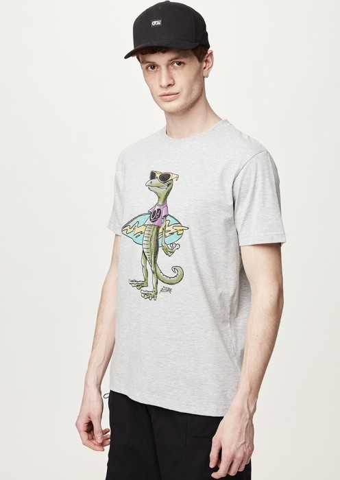 Футболка Picture Organic  Jecko grey melange