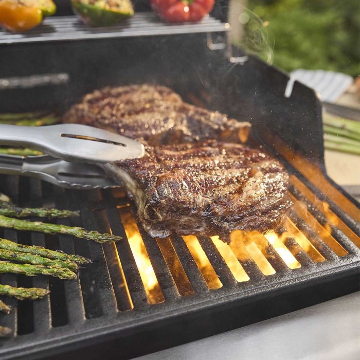 Газовый гриль Weber Spirit E-335 1501308