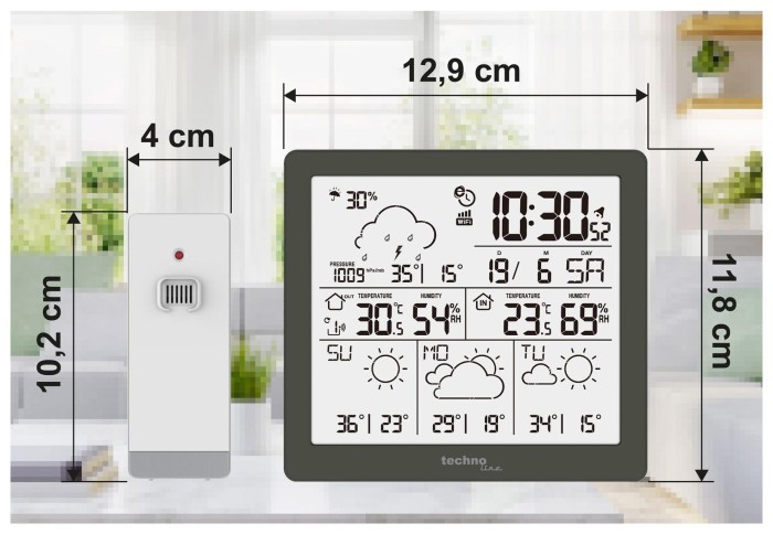 Метеостанция Technoline DirektWetter WD2200 Graphite(WD2200)