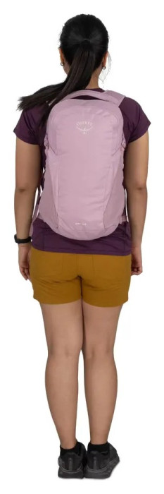 Рюкзак Osprey Daylite