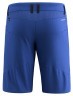 Шорты Salewa Agner DST Mns Фото - 1