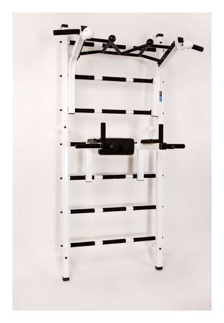 Шведська стінка RN-Sport Vertical Pro