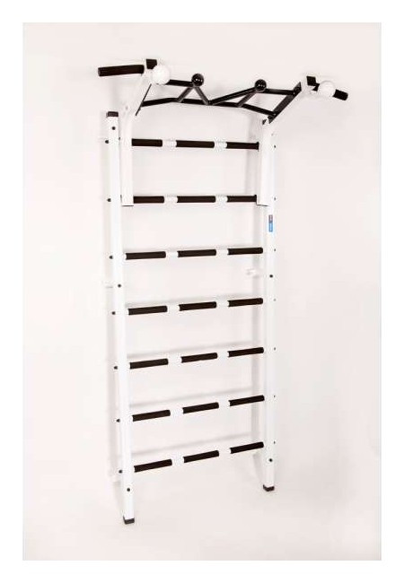 Шведська стінка RN-Sport Vertical Pro