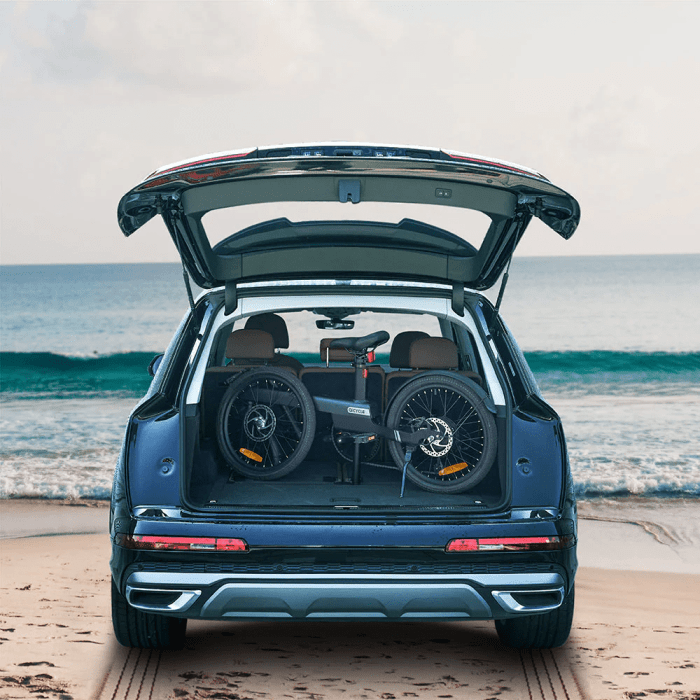 Електровелосипед Maraton QiCYCLE C2