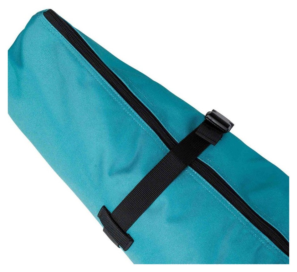 Чехол для горных лыж Dynastar INTENSE BASIC W 160 см Blue (DKJB401-WRH)