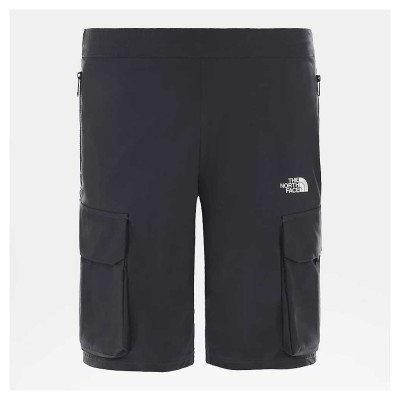 Шорты THE NORTH FACE (NF0A4C9F0C51) VarunaCargo Short 2020