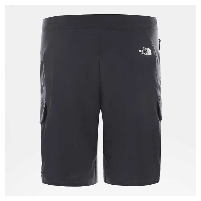 Шорты THE NORTH FACE (NF0A4C9F0C51) VarunaCargo Short 2020