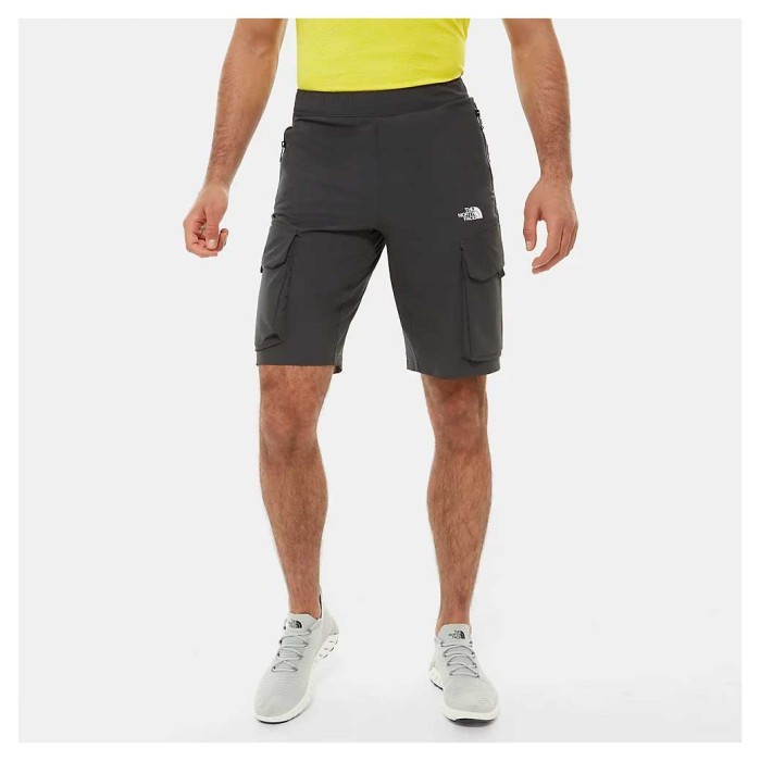 Шорты THE NORTH FACE (NF0A4C9F0C51) VarunaCargo Short 2020