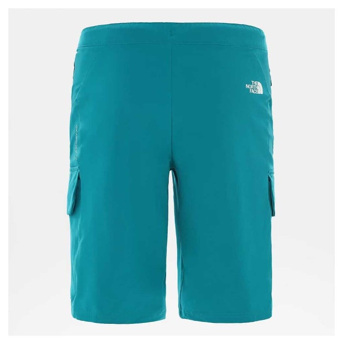 Шорты THE NORTH FACE (NF0A4C9F0C51) VarunaCargo Short 2020