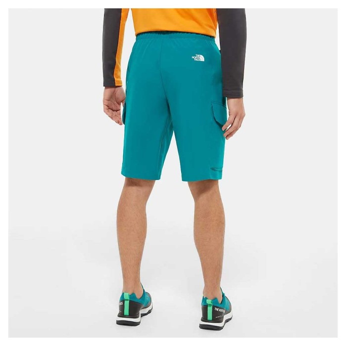 Шорты THE NORTH FACE (NF0A4C9F0C51) VarunaCargo Short 2020