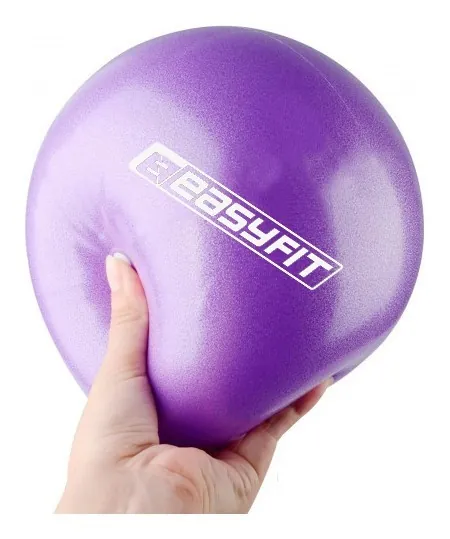 М'яч для пілатеса EasyFit 25 см фіолетовий (EFIT_EF-1221)