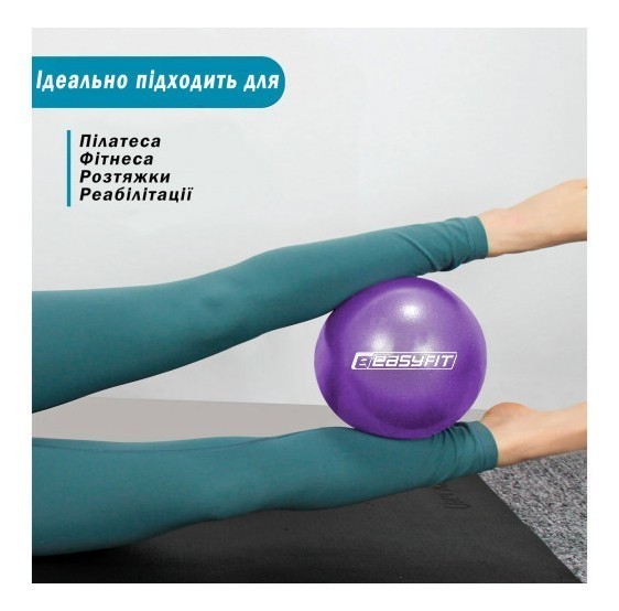 Мяч для пилатеса EasyFit 25 см фиолетовый