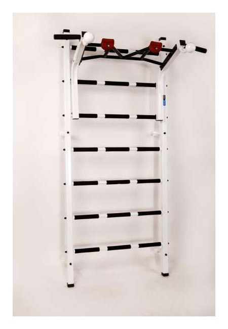 Шведська стінка RN-Sport Vertical Pro 2