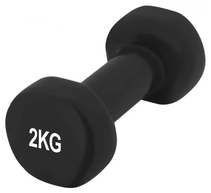 Набір гантелей у кейсі 9 кг. PowerPlay 4121 Fitness Dumbells (2шт.*1кг. 2шт.*1,5кг. 2шт.*2кг.)