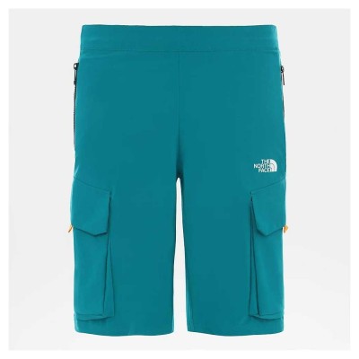 Шорты THE NORTH FACE (NF0A4C9FH1H1) VarunaCargo Short 2020