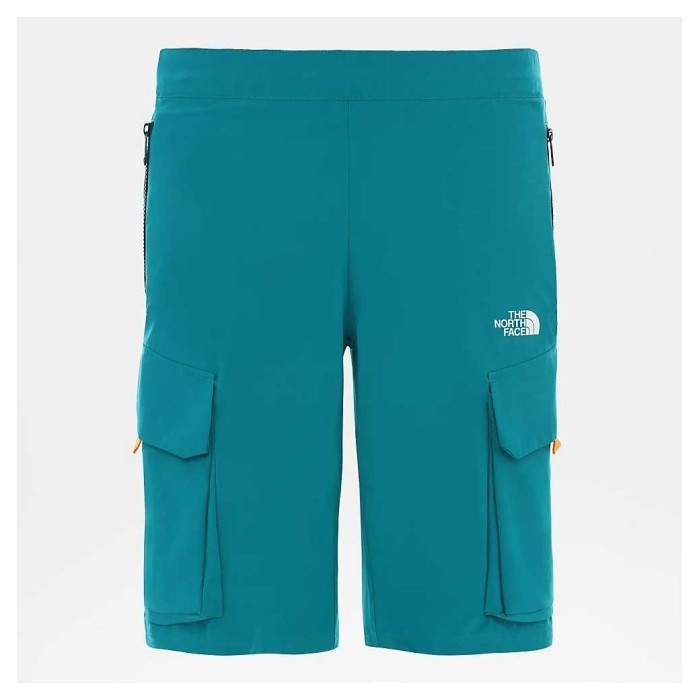 Шорты THE NORTH FACE (NF0A4C9FH1H1) VarunaCargo Short 2020