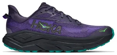 Кроссовки для бега HOKA ( 1168716-SQDN ) M Challenger 8