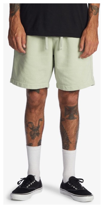 Шорти Quiksilver ( EQYFB03262 ) TRIP AWAY M OTLR 2022