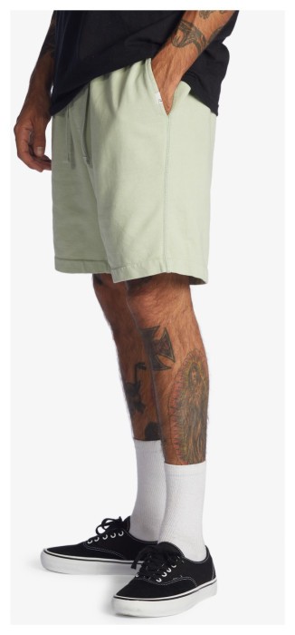 Шорти Quiksilver ( EQYFB03262 ) TRIP AWAY M OTLR 2022