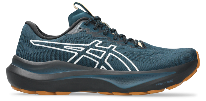 Кросівки для бігу Asics ( 1011C129 ) GT-2000 14 TR 2026