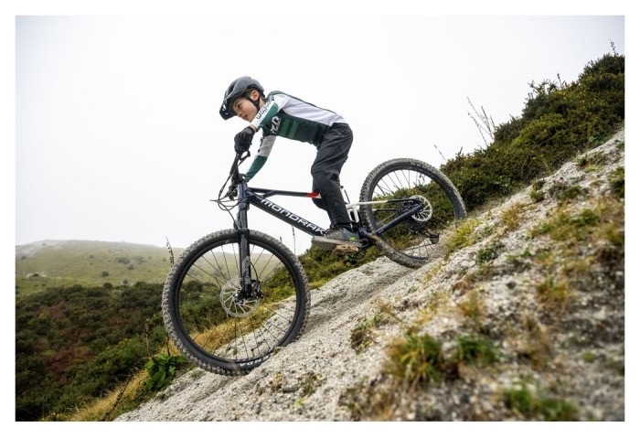 Электровелосипед MONDRAKER F-TRICK 24