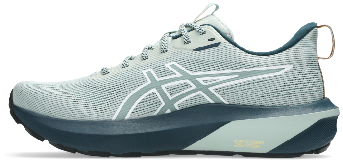 Кроссовки для бега Asics ( 1011C131 ) GT-1000 14 TR 2026