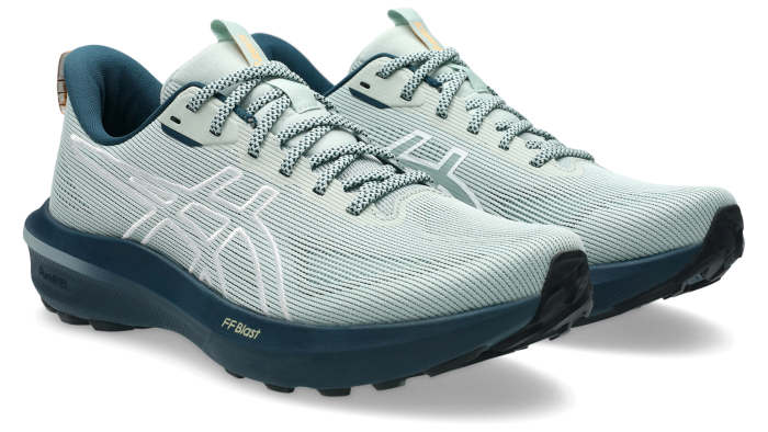 Кроссовки для бега Asics ( 1011C131 ) GT-1000 14 TR 2026