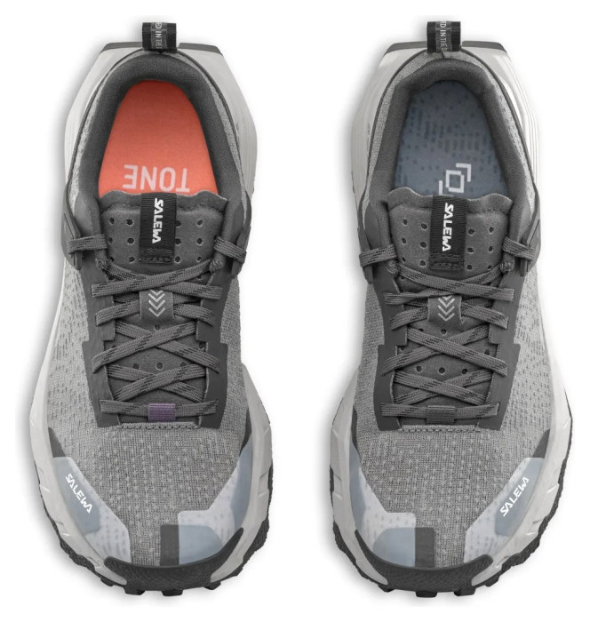 Кроссовки Salewa Pedroc 2 Wmn