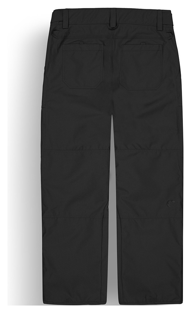 Picture Organic брюки лыжные Plan 2026 black L