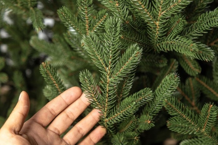 Елка литая "Венская" Зеленая