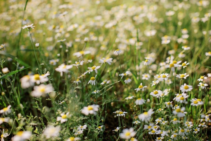 Спальный мешок Totem Woodcock одеяло правый olive 190/73 UTTS-001