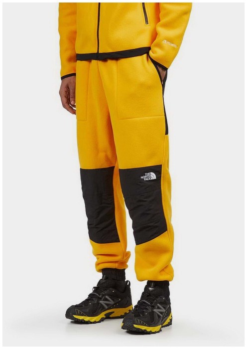 Штани для туризму THE NORTH FACE ( NF0A7UR5 ) M DENALI PANT 2024