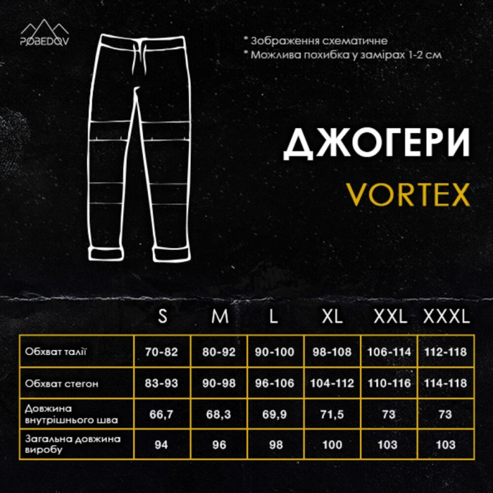 Мужские темно-серые джогеры весенние с карманами Pobedov Vortex