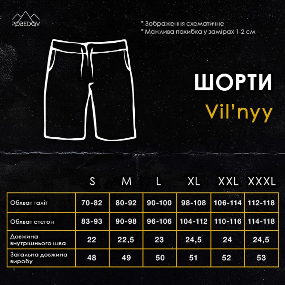 Темно-сірі чоловічі шорти прямого крою Pobedov Vil'nyy