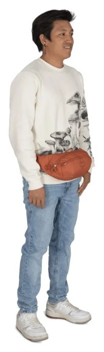 Поясна сумка Osprey Daylite Waist
