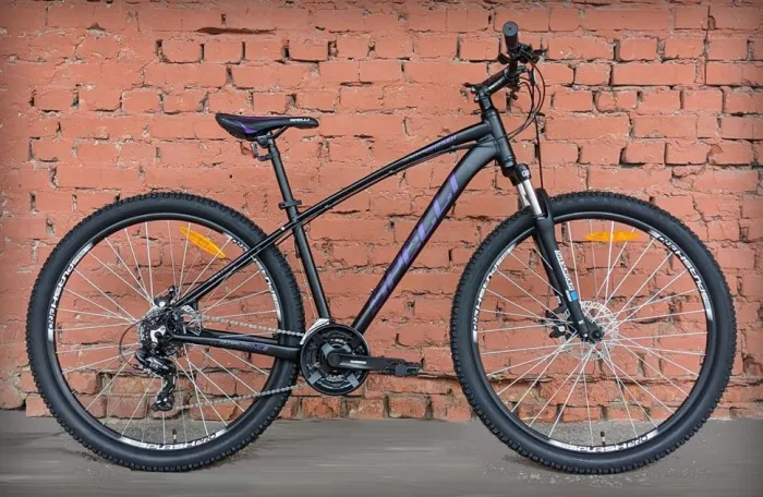 Велосипед найнер 29" Spelli SX-2700 Black-Purple (2024)
