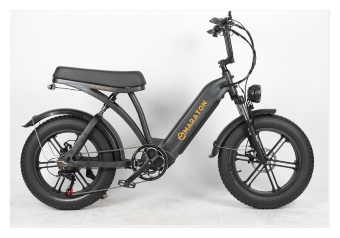 Електровелосипед Maraton GT 20 Чорний