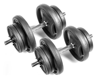 Разборные гантели RN-Sport 2 по 21 кг.