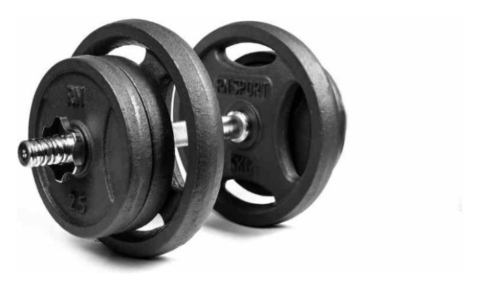 Разборные гантели RN-Sport 2 по 21 кг.