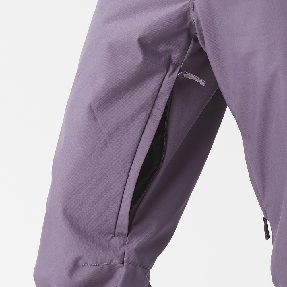 Picture Organic брюки лыжные Treva W 2026 grape jam L