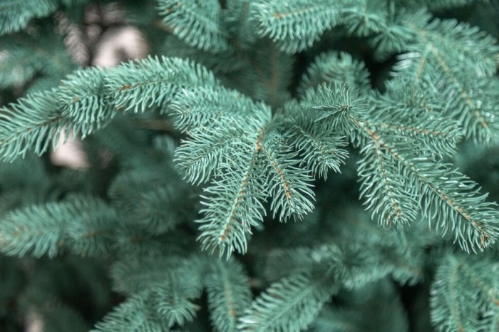 Елка литая "Ковалевская" Голубая