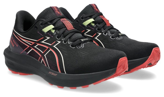 Кросівки для бігу Asics ( 1012B996-001 ) GT-1000 15 GTX