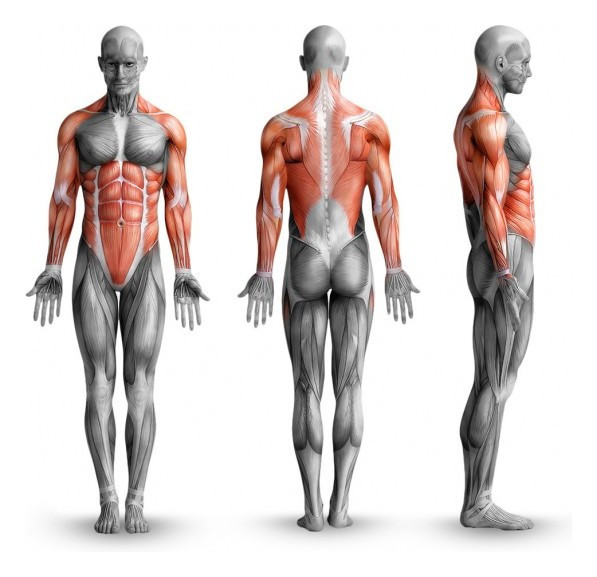 Турник мультихоп домашний