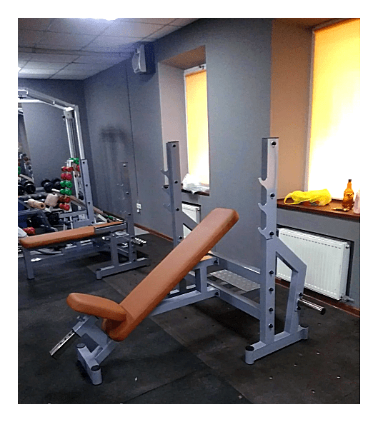 Лава жим під кутом нагору RN-SPORT imperium