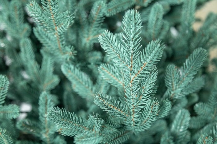 Елка литая "Венская" Голубая