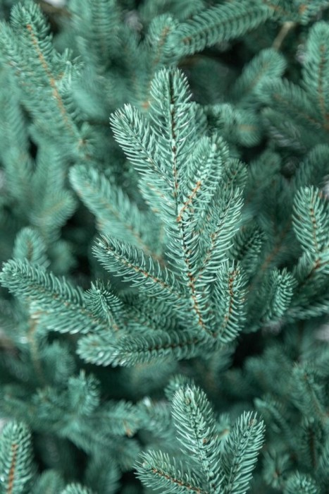 Елка литая "Венская" Голубая