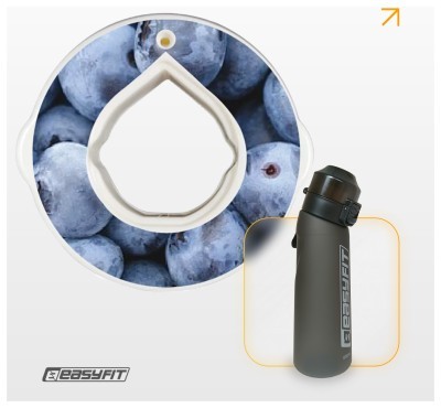Капсула "Черника" для бутылки EasyFit Air Up