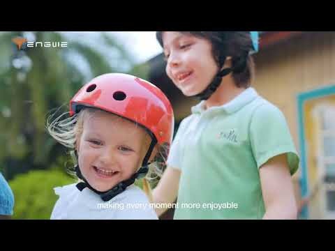 Электровелосипед Engwe LE20 Single Battery (750 Вт, 19,2 А*ч, 48 В), колеса 20", серый
