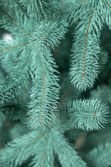 Елка литая "Президентская" Голубая