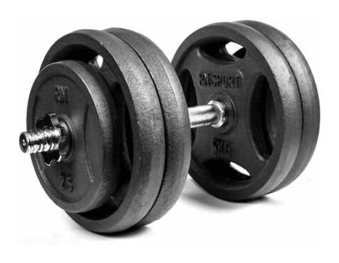 Гантель разборный RN-Sport 26 кг металл (RN_QTR26)